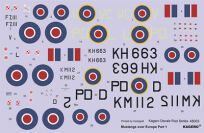 48003 - 1/48 Mustangs over Europe Part 1 Nos. 303 & 309 Squadrons (kalkomanie) - 2