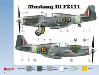 48003 - 1/48 Mustangs over Europe Part 1 Nos. 303 & 309 Squadrons (kalkomanie) - 4