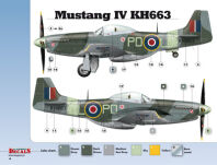48003 - 1/48 Mustangs over Europe Part 1 Nos. 303 & 309 Squadrons (kalkomanie) - 5