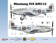 48003 - 1/48 Mustangs over Europe Part 1 Nos. 303 & 309 Squadrons (kalkomanie) - 6