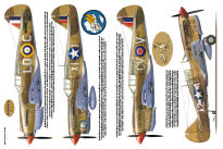 19010 - Curtiss P-40 Warhawk (Tomahawk/Kittyhawk) - 5