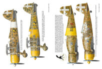 12020 - Lictorian Fasces over England Regia Aeronautica in Action against England 1940–1941 - 6