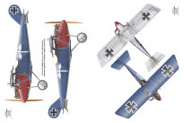 6007 - Pfalz – Fighter Aircraft from Rheinland the Wine Country - 2