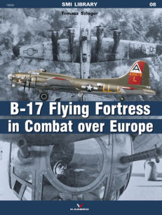 19008 - B17 Flying Fortress in Combat over Europe
